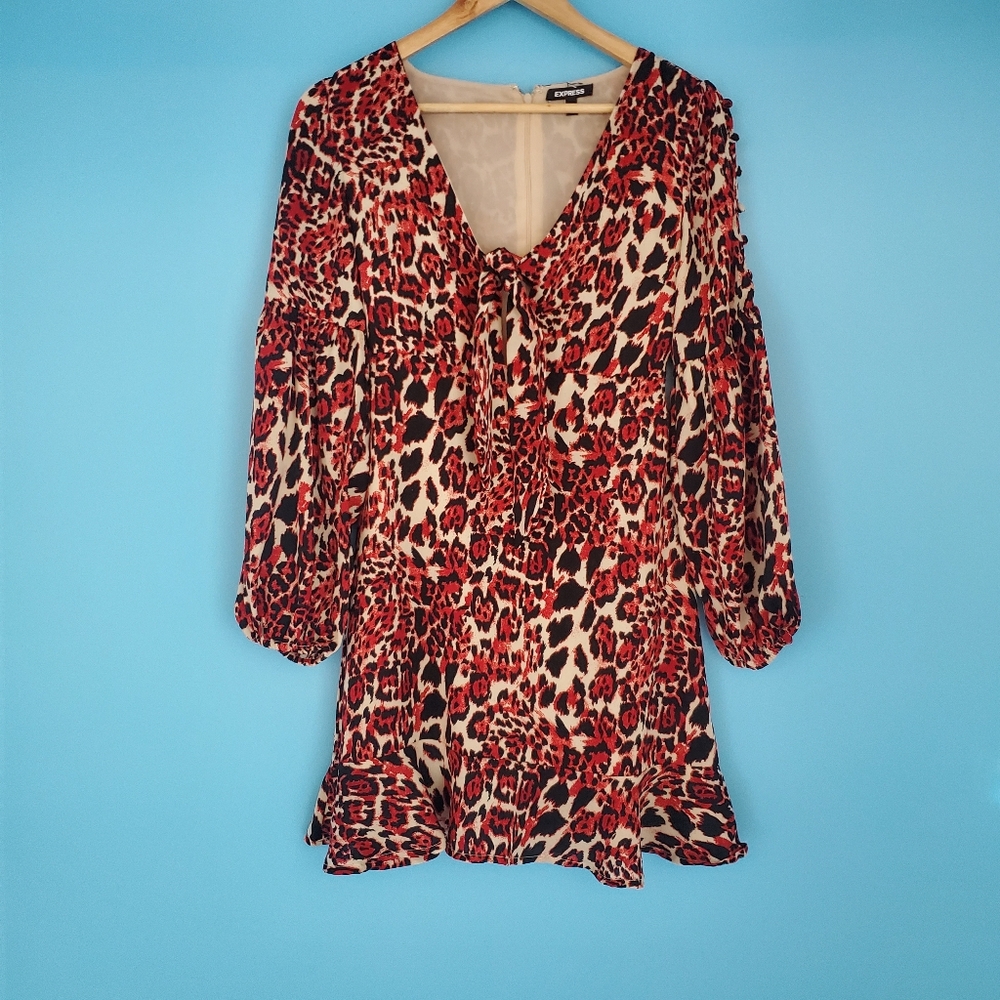 Express Long Sleeve Dress Size XS Above the Knee Cheetah